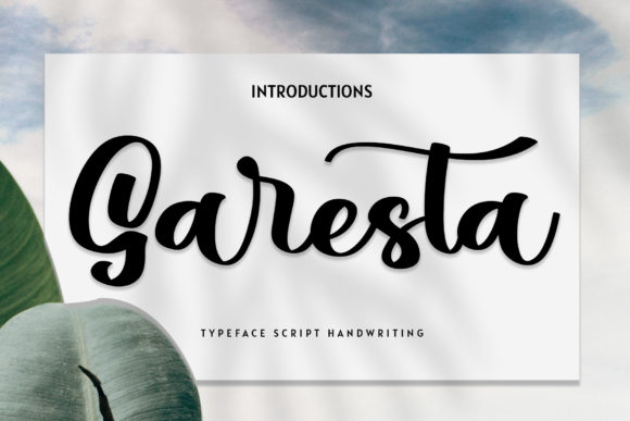Garesta Font Review: A Whimsical Script for Web Design