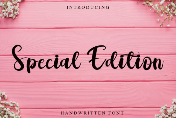 Special Edition Font Review: A Romantic Script for Branding