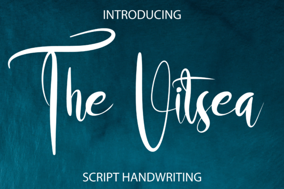 The Vitsea: A Designer's Honest Review for Branding